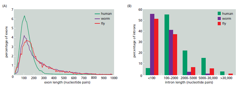 Figure 6-31.png
